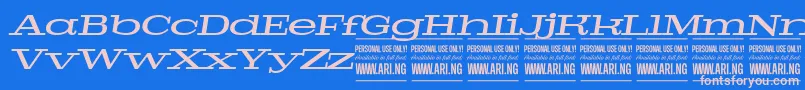 フォントPigeonmediumitalPersonal – ピンクの文字、青い背景