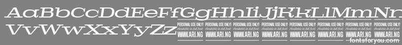 Шрифт PigeonmediumitalPersonal – белые шрифты на сером фоне