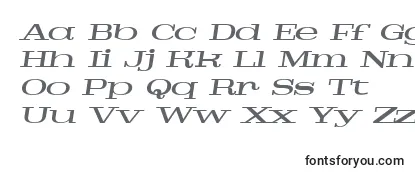 Review of the PigeonmediumitalPersonal Font
