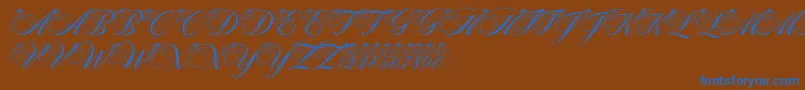 PfSnowmanCitadel Font – Blue Fonts on Brown Background