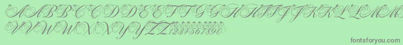 PfSnowmanCitadel Font – Gray Fonts on Green Background