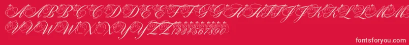 PfSnowmanCitadel-Schriftart – Rosa Schriften auf rotem Hintergrund
