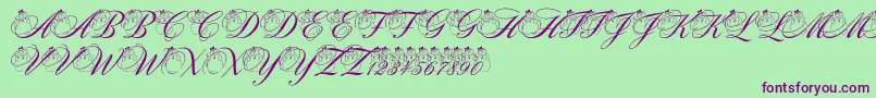 PfSnowmanCitadel Font – Purple Fonts on Green Background