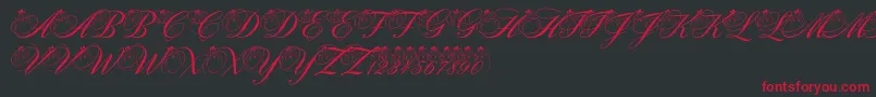 PfSnowmanCitadel Font – Red Fonts on Black Background