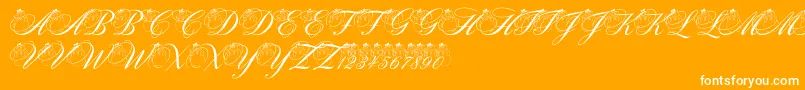 PfSnowmanCitadel-Schriftart – Weiße Schriften auf orangefarbenem Hintergrund