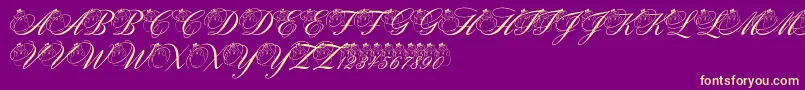 PfSnowmanCitadel Font – Yellow Fonts on Purple Background