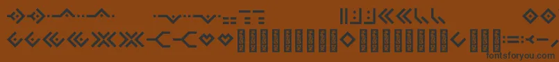 Omnicsans Font – Black Fonts on Brown Background