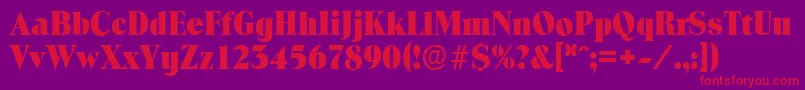 ToledoserialHeavyRegular Font – Red Fonts on Purple Background