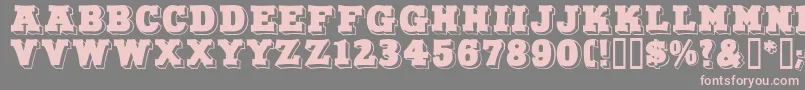 DuoDunkel Font – Pink Fonts on Gray Background