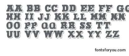 Review of the DuoDunkel Font