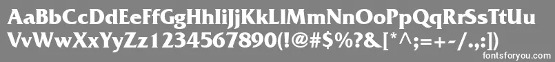 MusterSsiBold Font – White Fonts on Gray Background