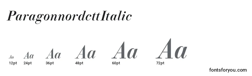 Размеры шрифта ParagonnordcttItalic