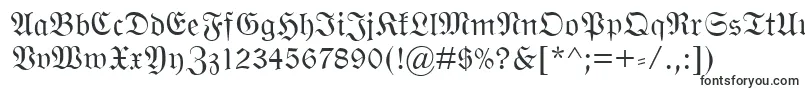 Шрифт WittenbergerFraktMt – шрифты, начинающиеся на W