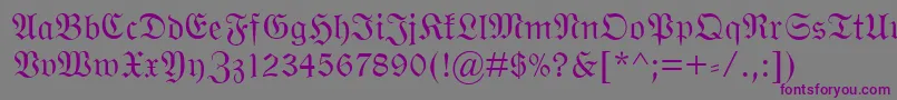WittenbergerFraktMt-Schriftart – Violette Schriften auf grauem Hintergrund