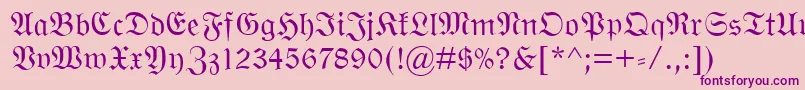 WittenbergerFraktMt Font – Purple Fonts on Pink Background