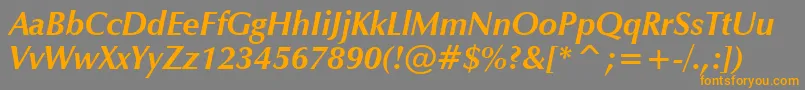 ZapfHumanist601BoldItalicBt Font – Orange Fonts on Gray Background