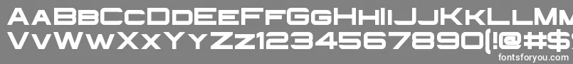 InfiniumGuardian Font – White Fonts on Gray Background