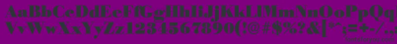 BodoniserialBlackRegular Font – Black Fonts on Purple Background