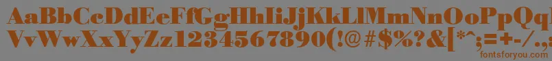 BodoniserialBlackRegular Font – Brown Fonts on Gray Background