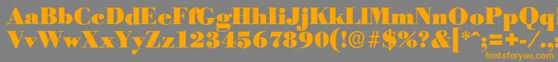 BodoniserialBlackRegular Font – Orange Fonts on Gray Background