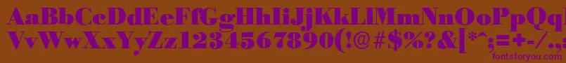 BodoniserialBlackRegular Font – Purple Fonts on Brown Background