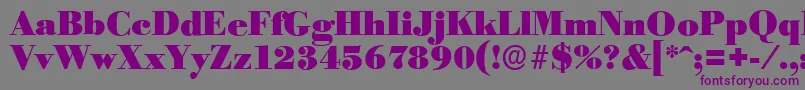 BodoniserialBlackRegular Font – Purple Fonts on Gray Background