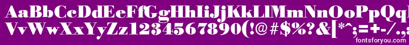 BodoniserialBlackRegular Font – White Fonts on Purple Background