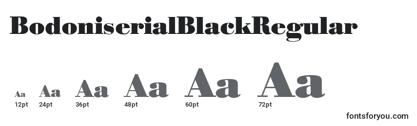Размеры шрифта BodoniserialBlackRegular