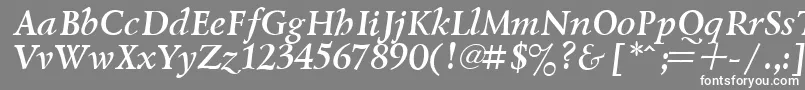 フォントLazurskyBoldItalic – 灰色の背景に白い文字