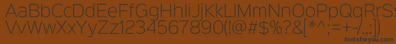 Sinkinsans200xlight Font – Black Fonts on Brown Background