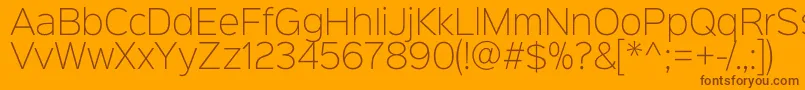 Sinkinsans200xlight Font – Brown Fonts on Orange Background