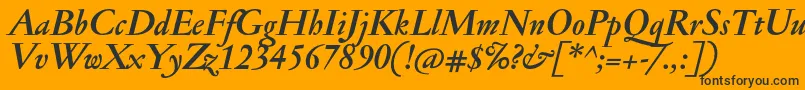 JannonantBolditalic Font – Black Fonts on Orange Background