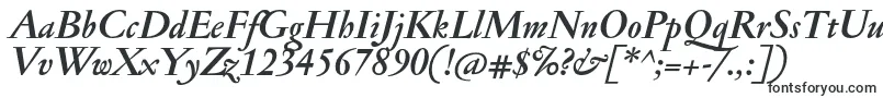 JannonantBolditalic Font – Straight Fonts