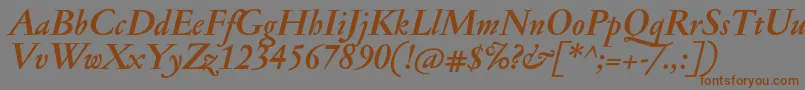 JannonantBolditalic Font – Brown Fonts on Gray Background