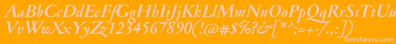 JannonantBolditalic Font – Pink Fonts on Orange Background
