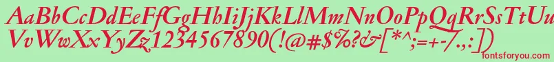 JannonantBolditalic Font – Red Fonts on Green Background