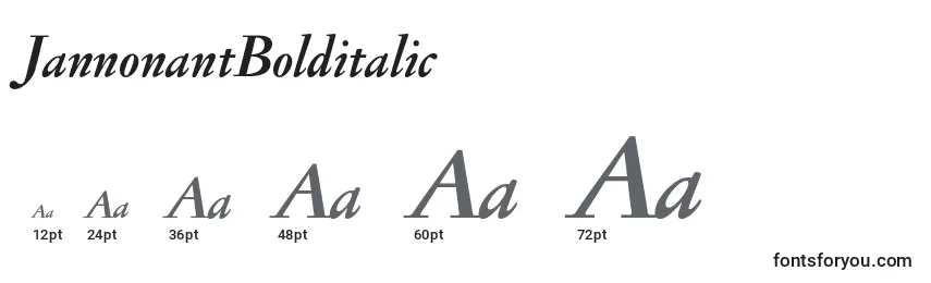 JannonantBolditalic Font Sizes