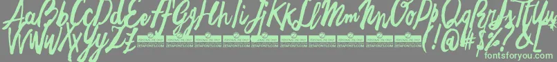 FreehandBrushEasyTrial Font – Green Fonts on Gray Background