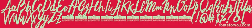 FreehandBrushEasyTrial Font – Green Fonts on Red Background