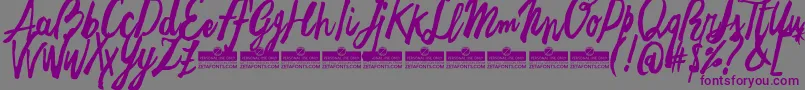 FreehandBrushEasyTrial Font – Purple Fonts on Gray Background