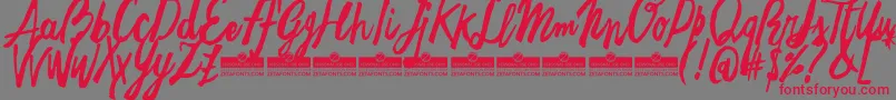 FreehandBrushEasyTrial Font – Red Fonts on Gray Background