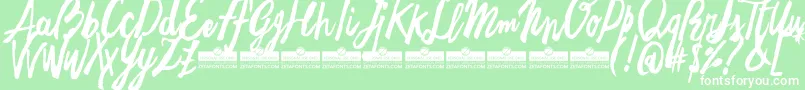 フォントFreehandBrushEasyTrial – 緑の背景に白い文字