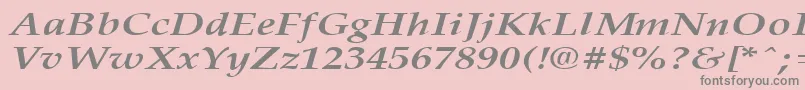 フォントPalisadebroadBoldItalic – ピンクの背景に灰色の文字