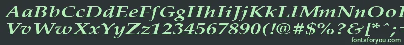 フォントPalisadebroadBoldItalic – 黒い背景に緑の文字