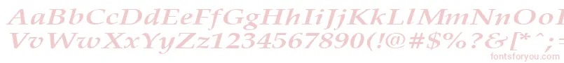 PalisadebroadBoldItalic-Schriftart – Rosa Schriften auf weißem Hintergrund