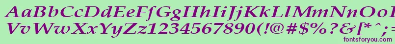 PalisadebroadBoldItalic Font – Purple Fonts on Green Background