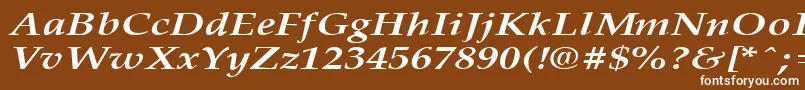 PalisadebroadBoldItalic-fontti – valkoiset fontit ruskealla taustalla