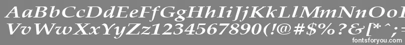 フォントPalisadebroadBoldItalic – 灰色の背景に白い文字