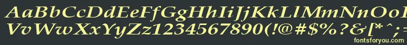 フォントPalisadebroadBoldItalic – 黒い背景に黄色の文字
