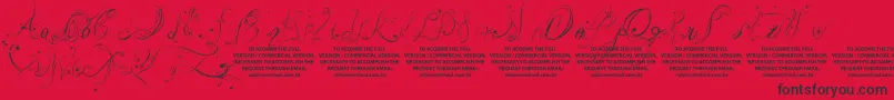 フォントLyssaDemoVersion – 赤い背景に黒い文字